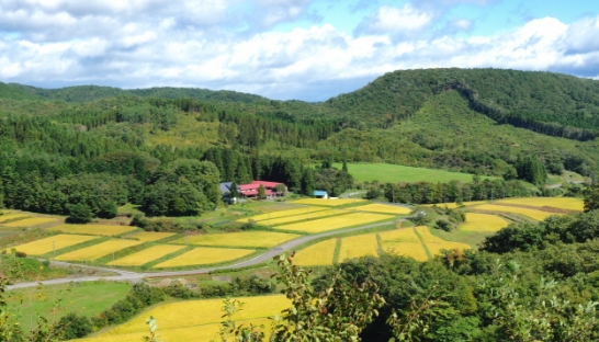 日本初樹木葬 知勝院