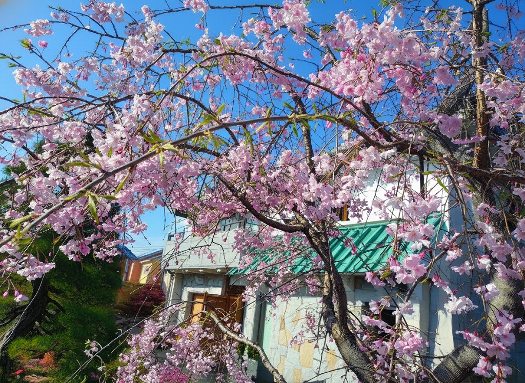 速成寺