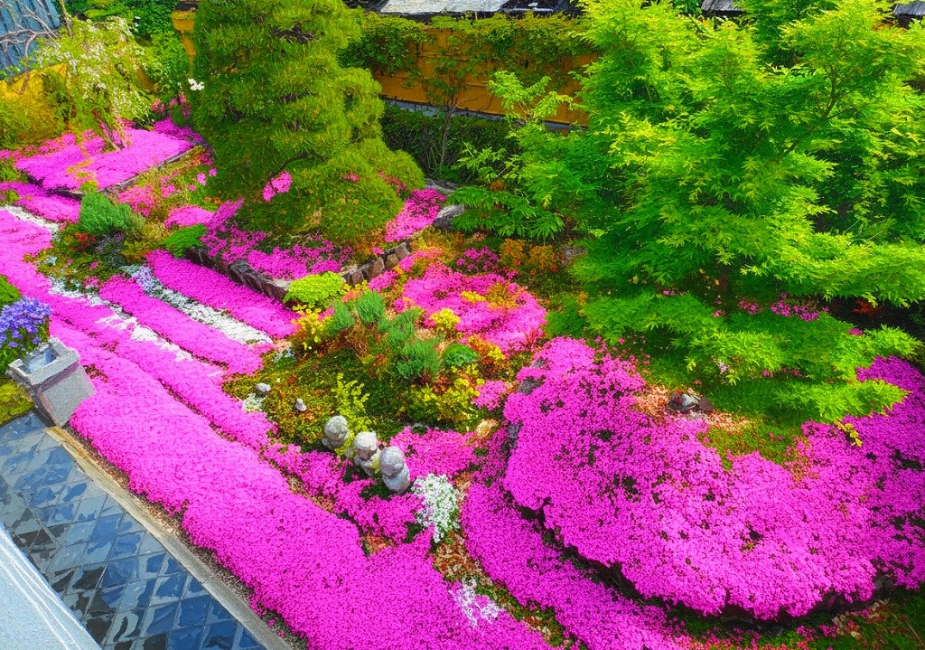 速成寺