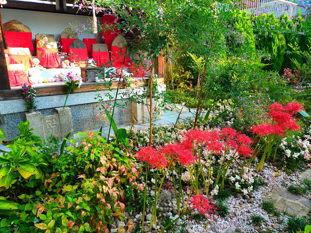 速成寺